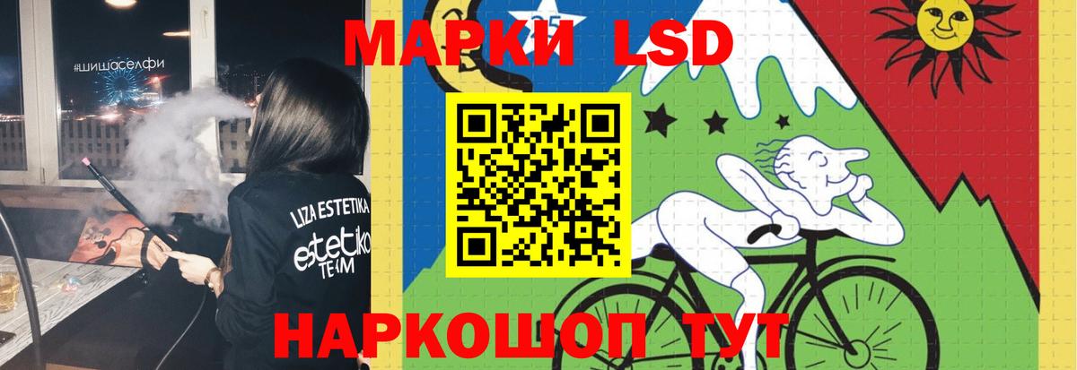 Курчалой  LSD-25 экстази кислота  Вход с VPN  гидра ТОР  LSD-25 экстази кислота 