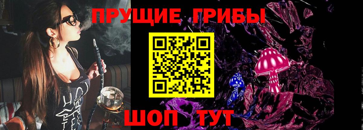 Галлюциногенные грибы Psilocybine cubensis  Вход с VPN  Курчалой 